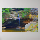 Buscar paisaje natural posters Bosques