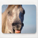 Buscar risa alfombrillas de raton Animal