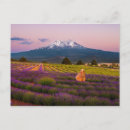 Buscar siskiyou postales Montaña