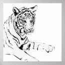 Buscar tigre blanco posters Grandes felinos