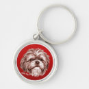 Buscar shih tzu llaveros Perrito