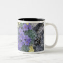 Buscar nomeolvides tazas Flor