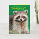 Buscar raccoon tarjetas Ilustracion