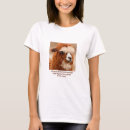 Buscar alpaca camisetas Divertido