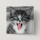 Buscar gatito chapas Fotografía