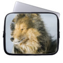 Buscar shetland fundas Lindo