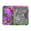 Buscar aster imanes Flor