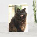 Buscar tarjetas halloween Gato