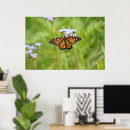 Buscar mariposas de monarca arte Naturaleza