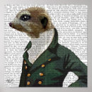 Buscar animales tontos posters Meerkat