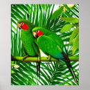 Buscar loros verdes posters Aves silvestres