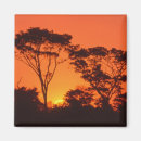 Buscar árbol de la vida imanes Puesta de sol