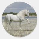 Buscar andaluz pegatinas Ecuestre