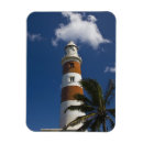 Buscar mauricio imanes Palmera