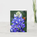 Buscar bluebonnet Plantas