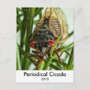 Buscar periódico postales Foto