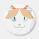Buscar furgoneta turca Gato