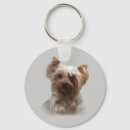 Buscar yorkshire llaveros Yorkie