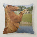 Buscar miniatura cojines Ecuestre