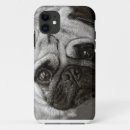 Buscar carlino Pug