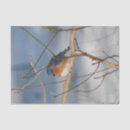 Buscar pajarita papel de seda Pajarito