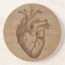 Buscar anatómico posavasos Corazón