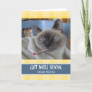 Buscar gato enfermo tarjetas Mejórate