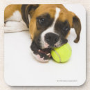 Buscar pelota de tenis posavasos Parte del cuerpo animal