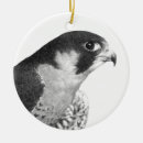 Buscar halcón de peregrino adornos Cetrería