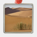 Buscar sáhara adornos Desierto