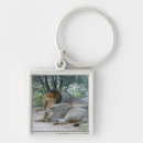Buscar panthera leo El acostarse