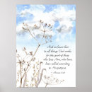 Buscar romanos 8 28 posters Verso bibliográfico