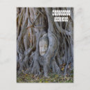 Buscar buddha postales Cabeza de buddha