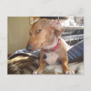 Buscar meme postales Amigos