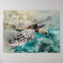 Buscar para el turtl posters Sea turtle