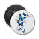 Buscar mariposa abrebotellas Azul