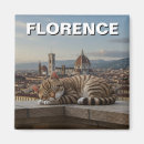 Buscar firenze imanes Europa