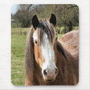 Buscar horse alfombrillas de raton Amantes del caballo