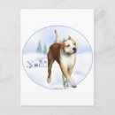 Buscar american staffordshire terrier tarjetas Amantar
