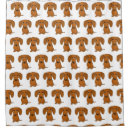 Buscar salchicha perro Doxie