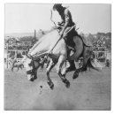 Buscar caballo blanco azulejos Al aire libre