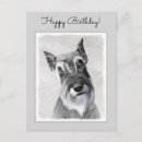 Buscar schnauzer gigante postales Perro