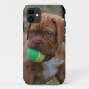 Buscar criada iphone fundas Perrito