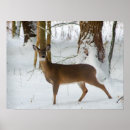 Buscar gama posters Blanco