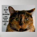 Buscar gracioso posters Gato