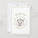 Buscar hedgehog tarjetas Para todos