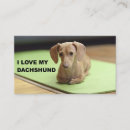 Buscar doxie tarjetas de visita Perro salchicha