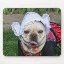 Buscar perro del toro General y unisex