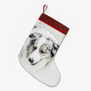 Buscar pastor calcetines navideños Australiano