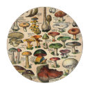 Buscar setas tablas cortar Hongos